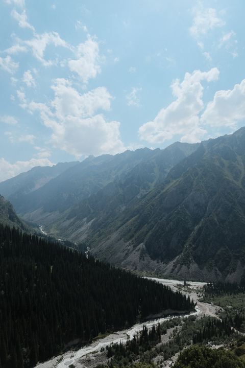 DSCF0603.JPG