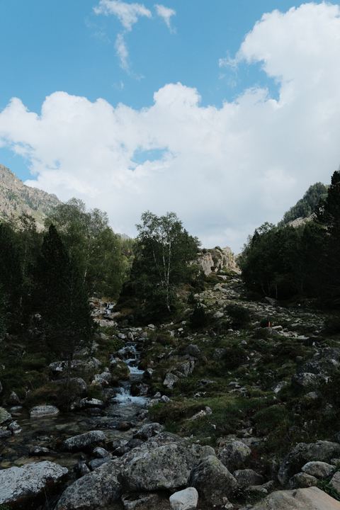 DSCF1047.JPG