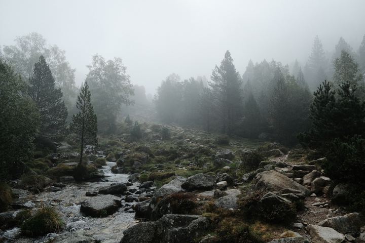 DSCF1117.JPG